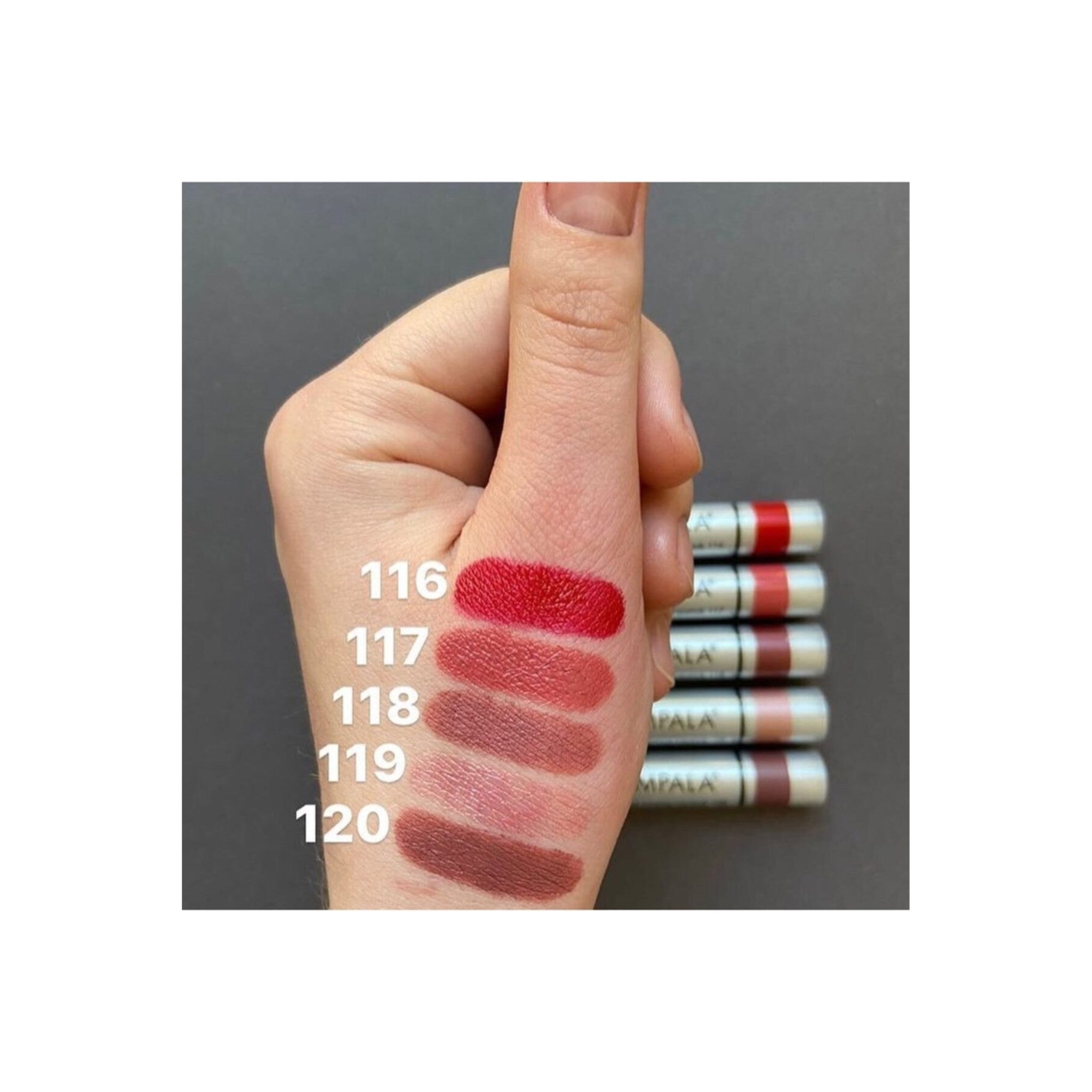 Ruj Kırmızı Ahududu- Longlasting Lipstick No: 101